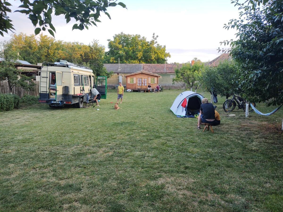 Suhaia Edelweiss Guesthouse, Glamping And Camping מראה חיצוני תמונה